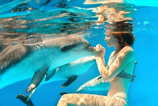 Swim with the dolphins